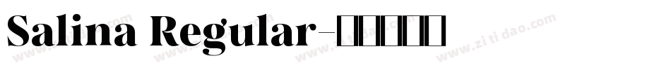 Salina Regular字体转换